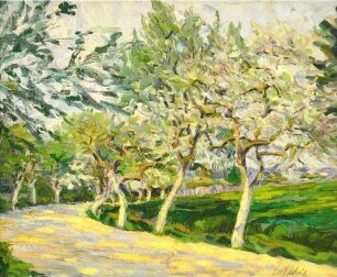 Landstraße mit blühenden Obstbäumen