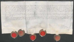 Instrumentum probationis des Grafen Friedrich Karl Joseph von Schönborn.