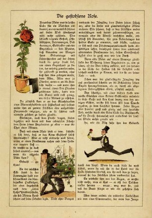 Die gestohlene Rose