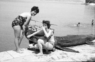 Lopud: zwei Badenixen [junge Frauen] am [toten] Haifisch