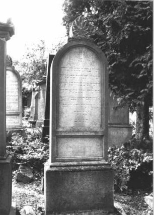 Grabstein 60 (Index: 100114368) Material: Kalkstein Zustand: verwittert Maße HxBxT: 188x64x32 cm Beschreibung: Stele, Sockel, Rundbogenabschluß mit Mittelakroter auf Voluten, deutsches Schriftfeld rechteckig Symbolik: Palmette: Grabstein 60