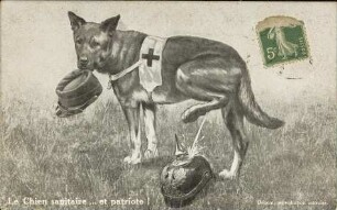 Le Chien sanitaire ... et patriote!
