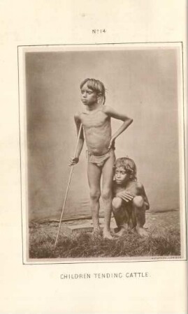 Children tending cattle
