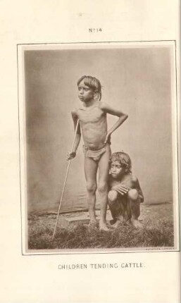 Children tending cattle