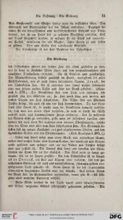 Die Kleidung