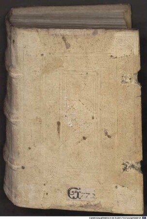 Sermonum collectiones variae - BSB Clm 18734