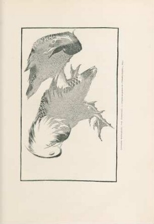 Canards mandarins, par Hokousai. - (D'après une gravure du "Tshiashin Gouafou", 1819.)