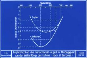 Empfindlichkeit des menschlichen Auges in Abhängigkeit von der Wellenlänge des Lichtes (nach U. Burandt)