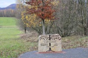 Ellrich - Gedenkstein : Auf der ehemaligen Grenzlinie wurde dieser Gedenkstein errichtet. Aufgenommen am 15. November 2009 in Ellrich