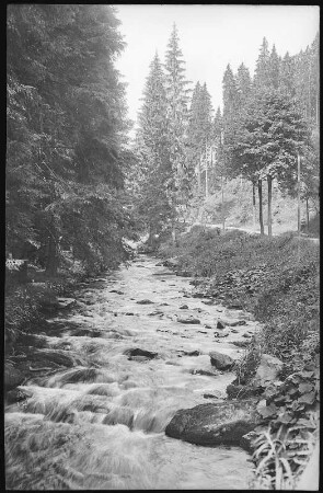 Natschungtal. Im Tal