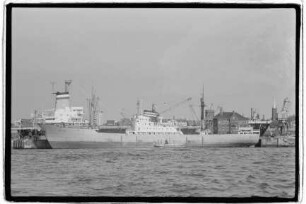 Neptun (1952), Neptun.- Dampfschifffahrts-Gesellschaft „Neptun“, Neptun Linie, D.G. "Neptun", Bremen