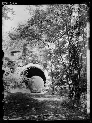 Hohentwiel, Ruine Hof