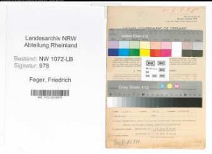 Entnazifizierung Friedrich Feger , geb. 29.08.1905 (Landwirt)