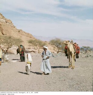 Wanderung, Aufbruch - Sinai - Familie Salem