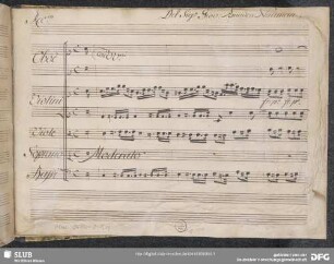 Solimano. Excerpts - Mus.3480-J-8,11 : S, orch, b