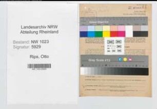Entnazifizierung Otto Rips , geb. 02.07.1893 (Tabakhaendler)