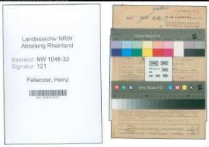 Entnazifizierung Heinz Fellenzer , geb. 17.04.1917 (Verwaltungsangestellter)