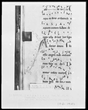 Graduale — Initiale A(dorare) mit anschließender Ranke, Folio 12verso