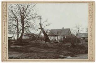 Hagens Kaffeehaus ("Wittstock, Meyenburg und Umgebung")