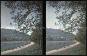 Am Ufer des Neckar in Heidelberg