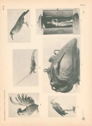 Pl. 81. Fres