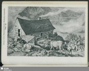 38. Alpe
