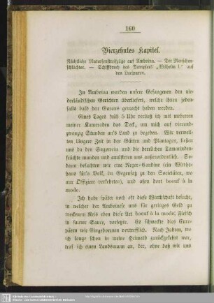 Vierzehntes Kapitel. Nächtliche Matrosenstreifzüge auf Amboina