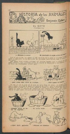 El gato - (Continuación) : Historia de los animales