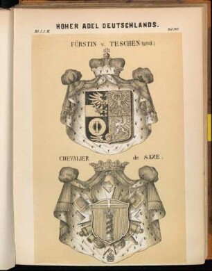Taf. 347. Fürstin v. Teschen (and.) - Chevalier de Saxe.