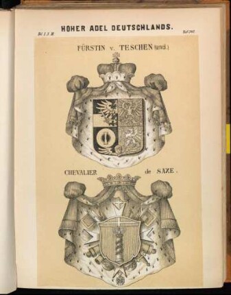 Taf. 347. Fürstin v. Teschen (and.) - Chevalier de Saxe.