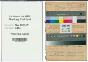 Entnazifizierung Agnes Wildenau , geb. 18.11.1891 (Lehrerin)