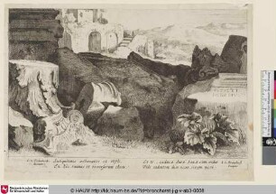 Antiquitatis aestimator et styli [Römische Ruinen; Roman Ruins; Ruines de l'Ancienne Rome]