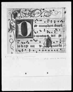 Graduale aus Ebersberg — Initiale D(ominus dixit)