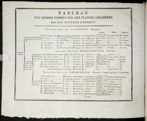 Tableau des Genres formés sur les Plantes Orchidées des Iles Australes d'Afrique. [zu S. 314f]