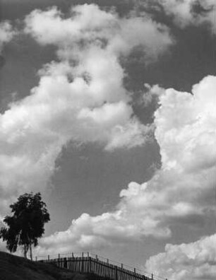 Wolkenbilder. Wolken über Baum und Zaun