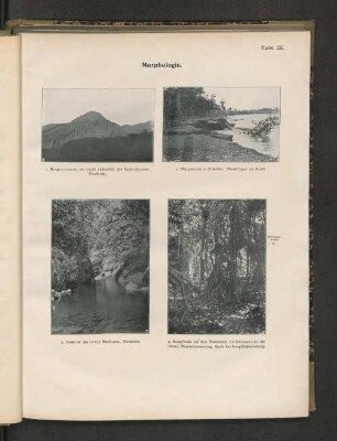 Tafel III. Morphologie. 3. Felsental des linken Maiflusses, Westkette.