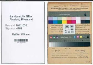 Entnazifizierung Wilhelm Reiffer , geb. 02.01.1895 (Steiger)