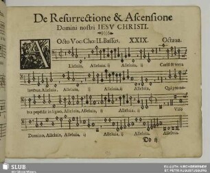 XXIX. Alleluia in resurrectione tua