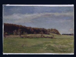 Wiesenlandschaft bei Fürstenfeldbruck