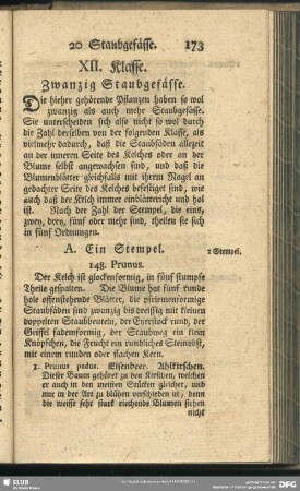 XII. Klasse. Zwanzig Staubgefässe