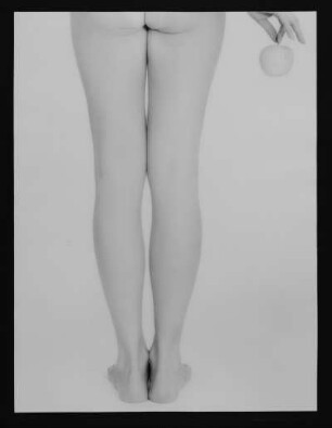 Eva : Eva (Beine). Fotografie; 59,7 x 49,8 cm (Blattgröße), 39,2 x 29,5 cm (Bildgröße). 1978