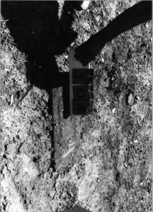 Grabstein 104 (Index: 99798123) Material: Sandstein, rot Zustand: sehr stark verwittert mit Textverlust Maße HxBxT: 0x0x0 cm: Grabstein 104