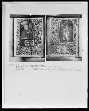 Gebetbuch für Herzog Philipp den Guten von Burgund — Madonna im Strahlenkranz, Folio 315verso