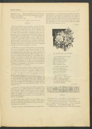 El aroma de las flores