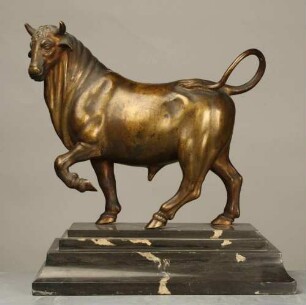 Stier