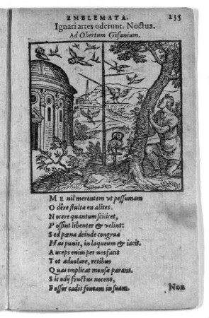 Ignari artes oderunt. Noctua.