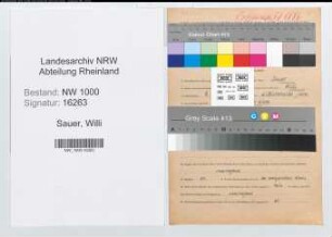 Entnazifizierung Willi Sauer, geb. 09.03.1918 (Zollbeamter)