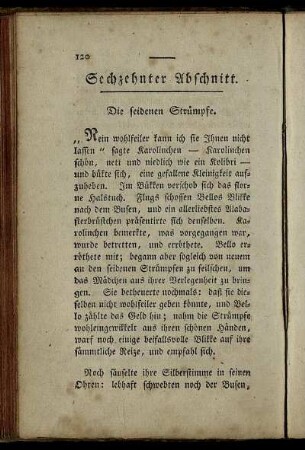 Sechzehnter Abschnitt. Die seidenen Strümpfe. - Zwanzigster Abschnitt.