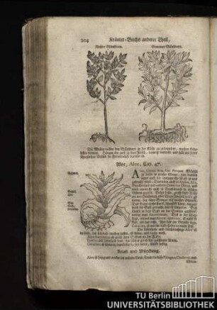 Cap. 47. Aloe, Aloe.