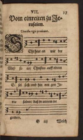 VII. Vom einreiten zu Jerusalem.